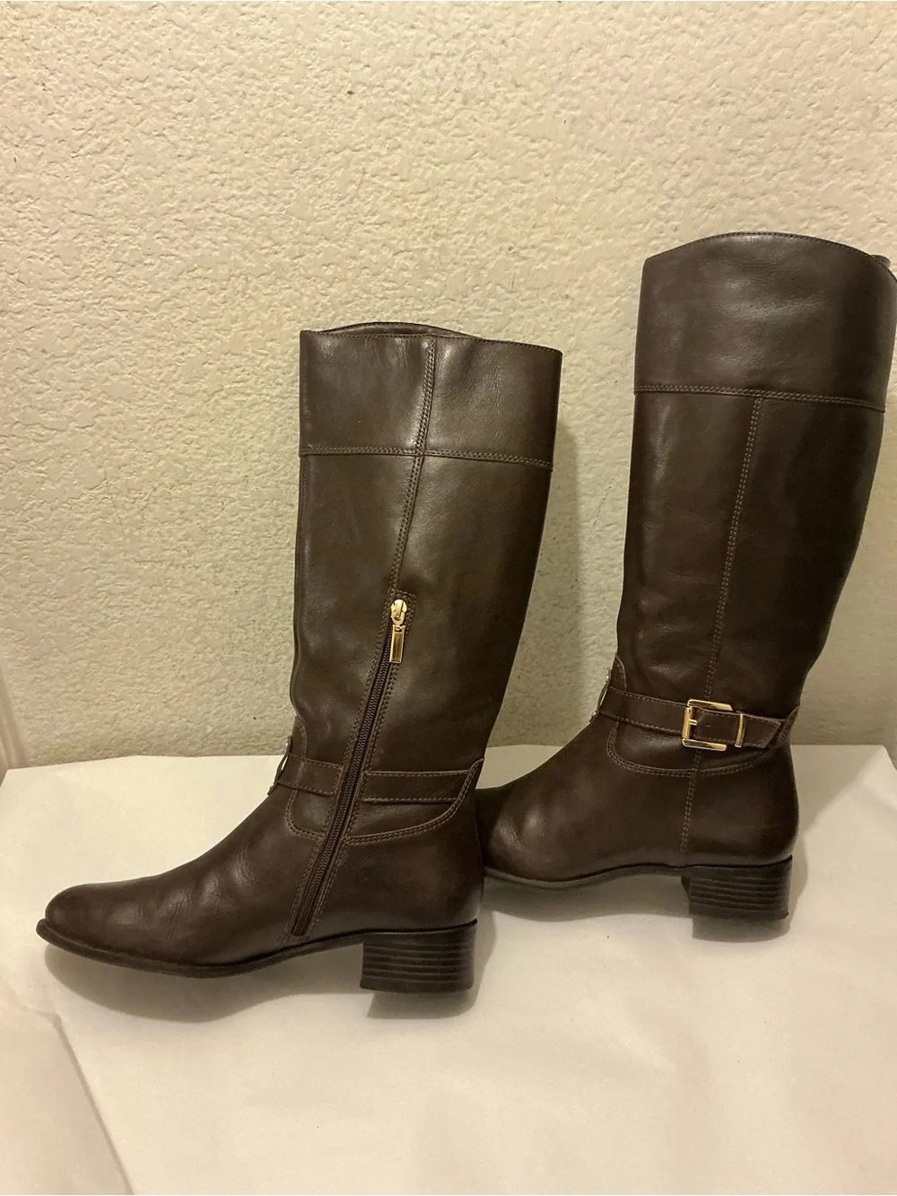 Banana Republic Sloanne Dark Brown Leather Knee Boots with Gold Buckle